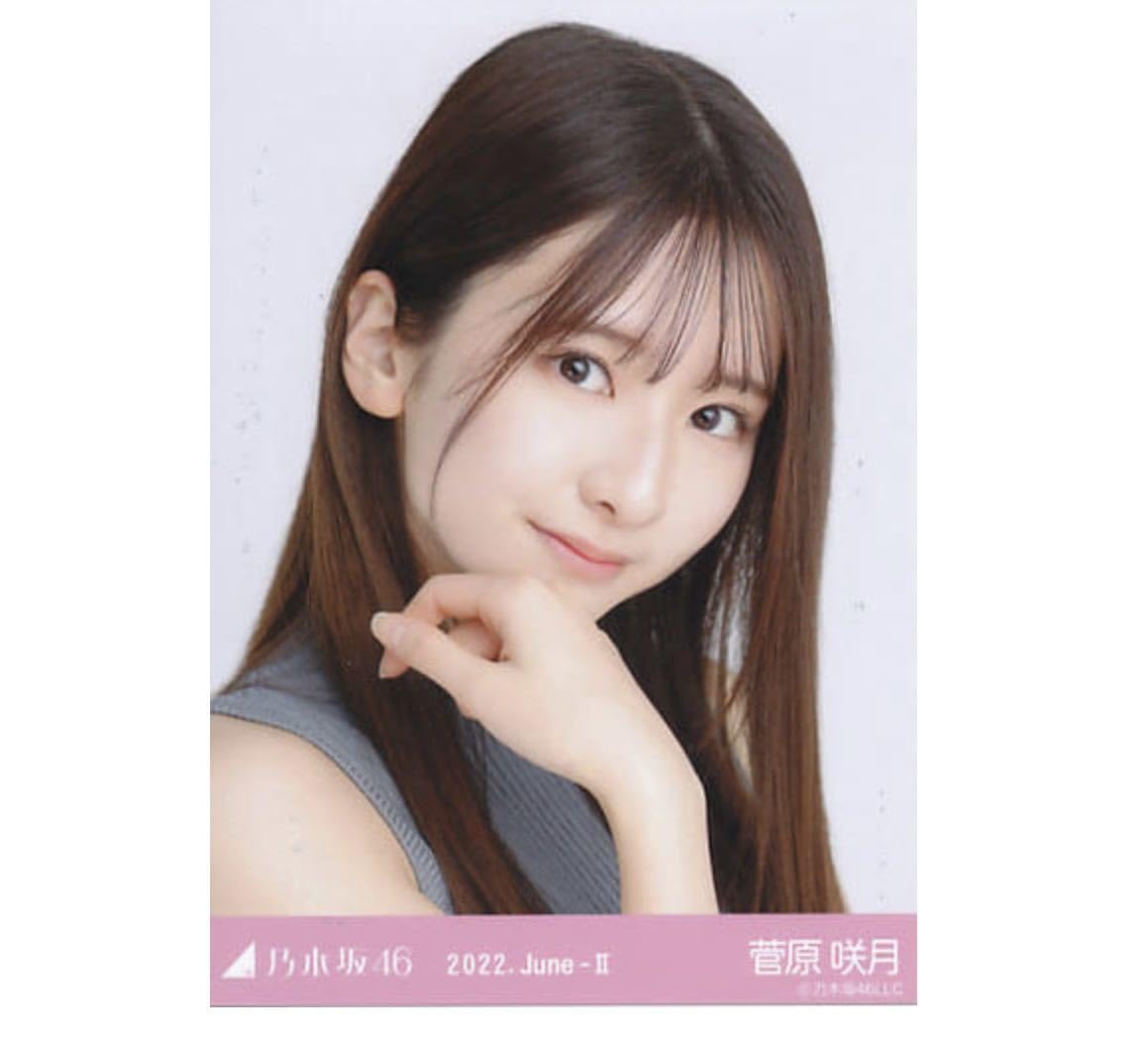 乃木坂46 菅原咲月 2022年月間ランダム 生写真 コンプ 25種 まとめ売り